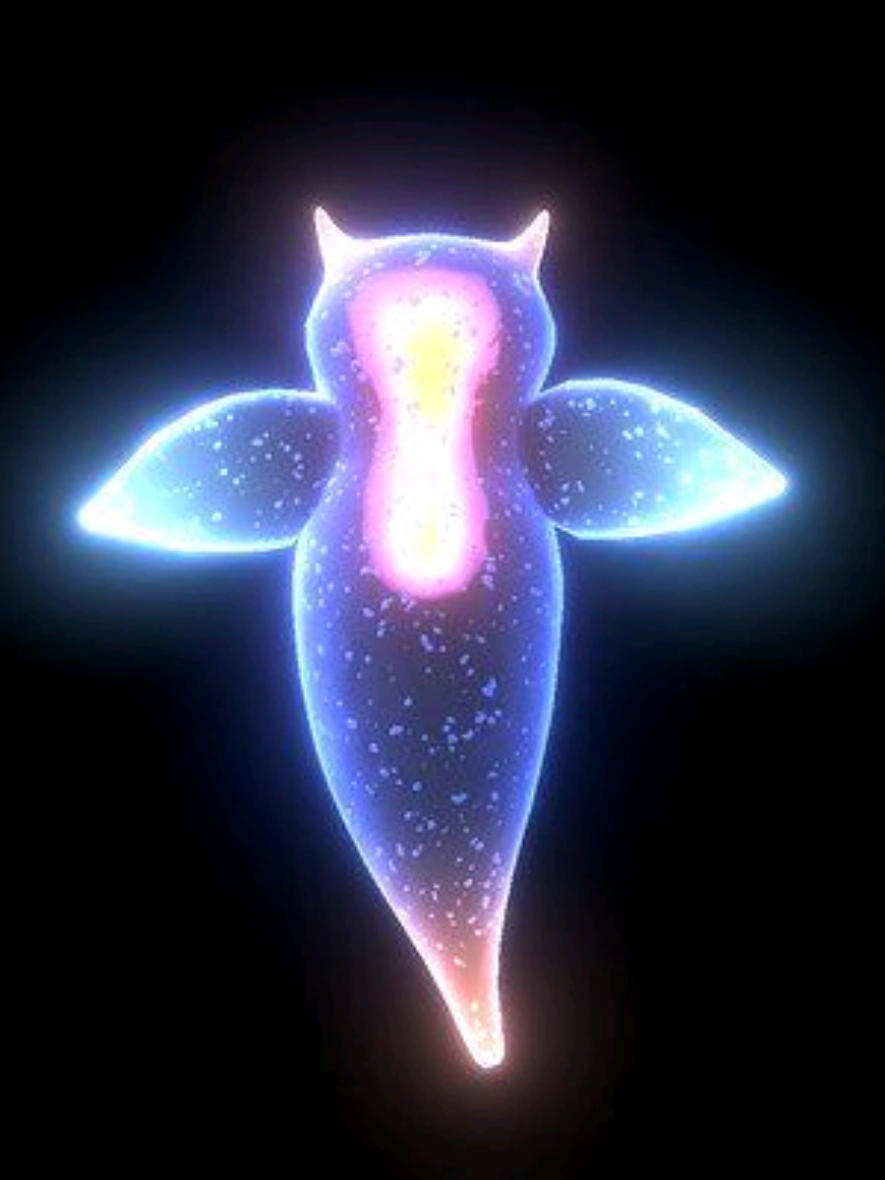 @𝓯𝓻𝓮𝓪𝓴𝔂 Angelic ♡