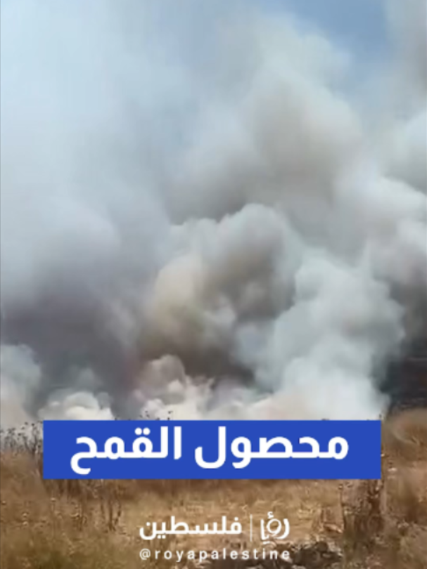 @Royapalestine رؤيا فلسطين