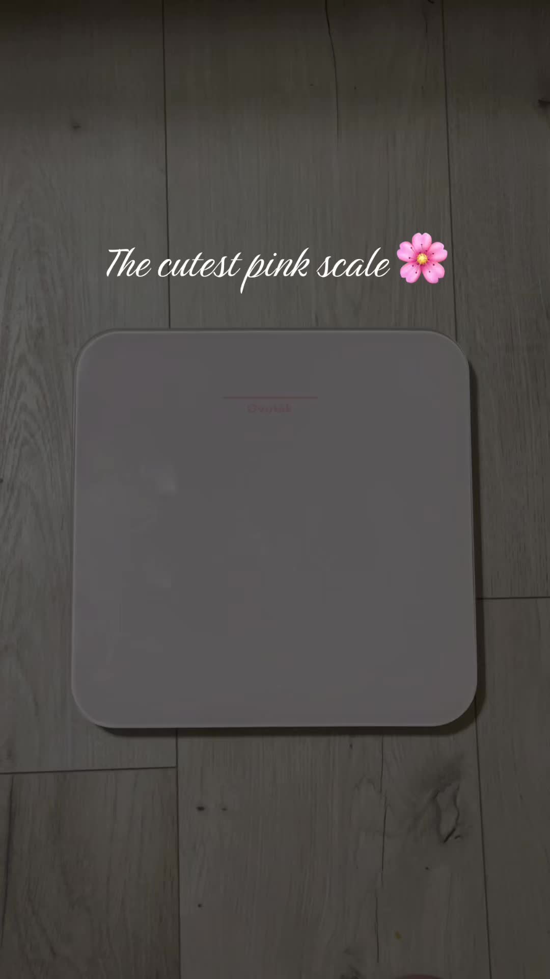 @🌸Jada Marie