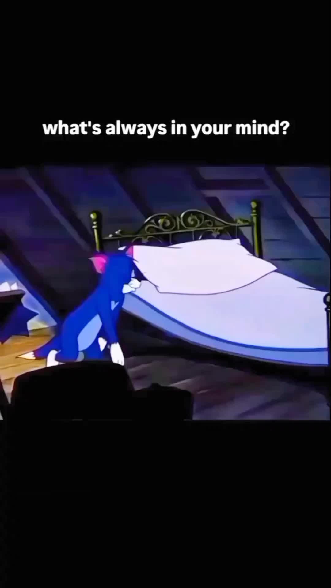 @Blink🖤✨