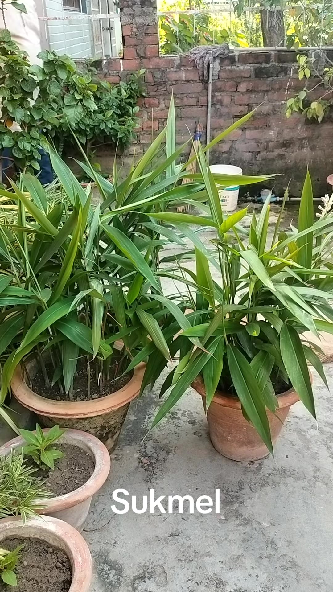 @bpbhattarai01