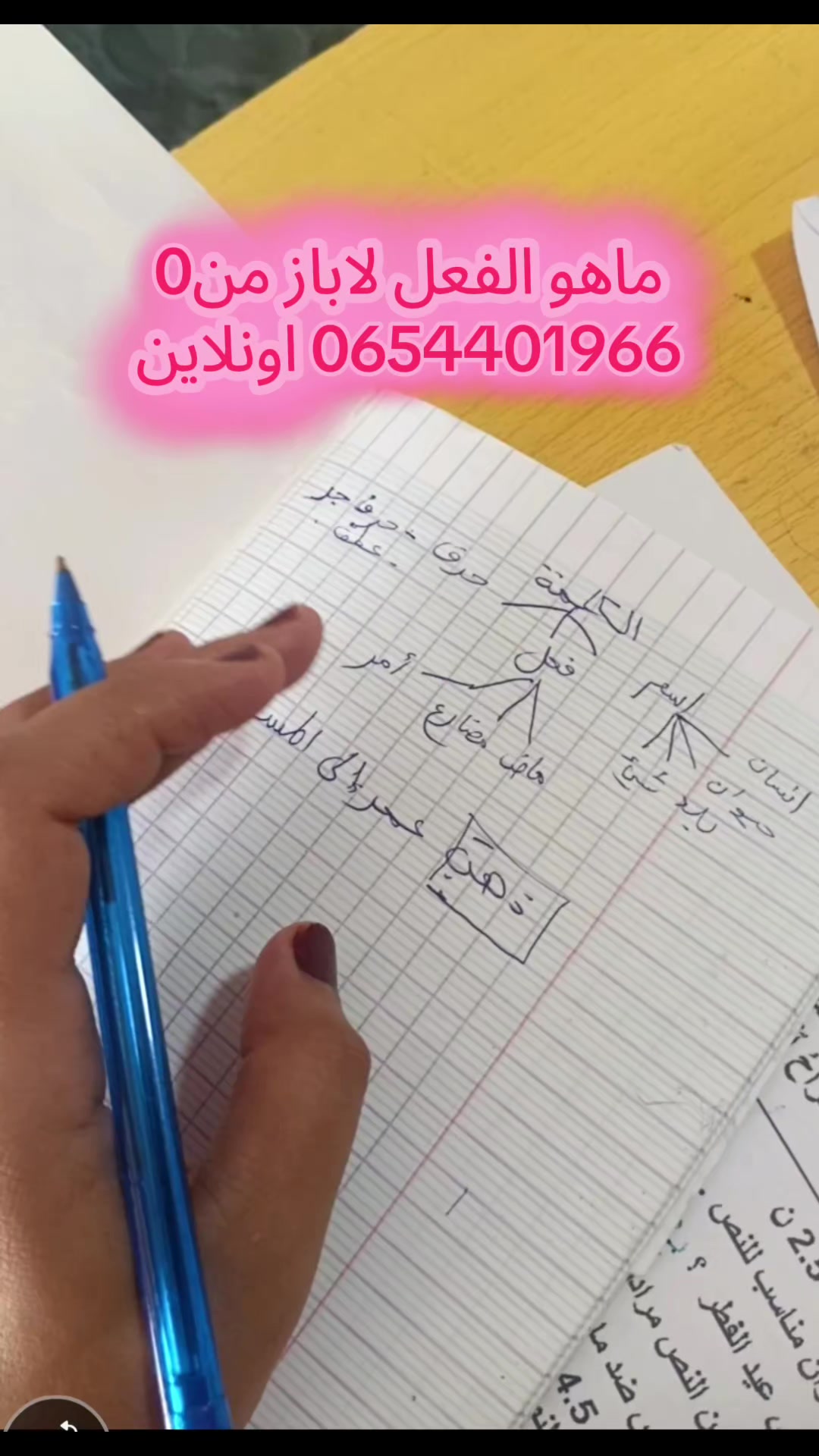 @الأستاذة نـور