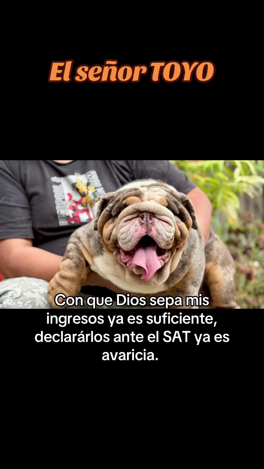 @Destroyers Bulldogs