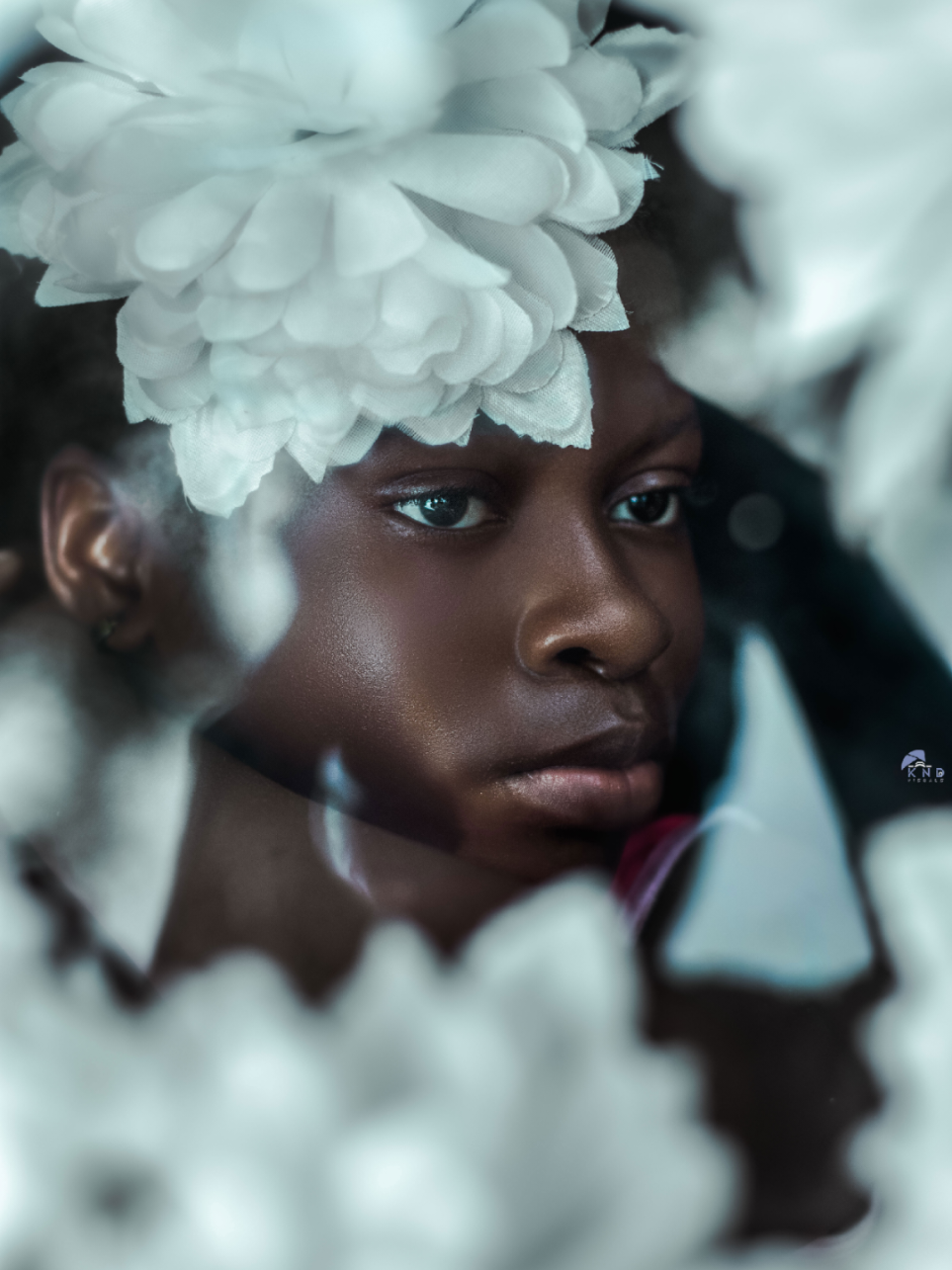 @k.n.d_visuals