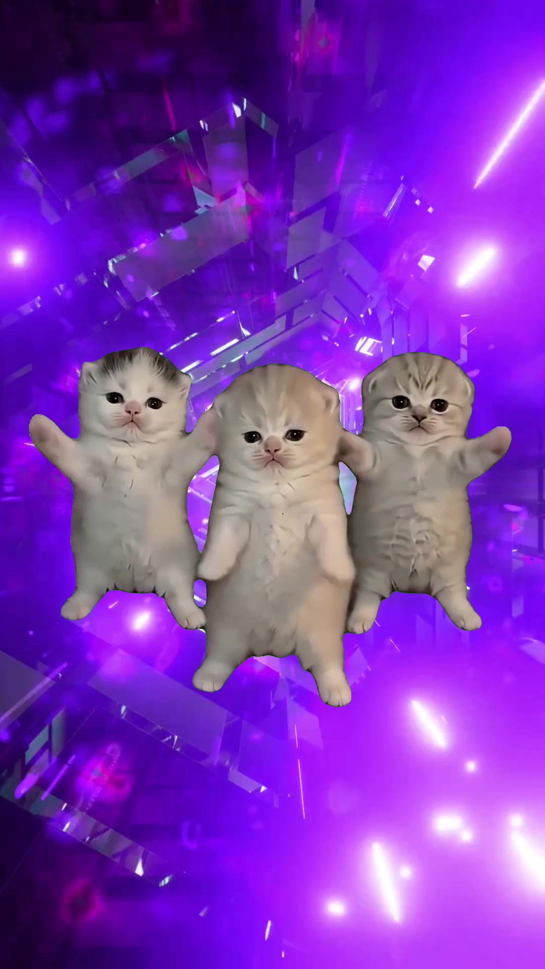 @Bemax ベマックス