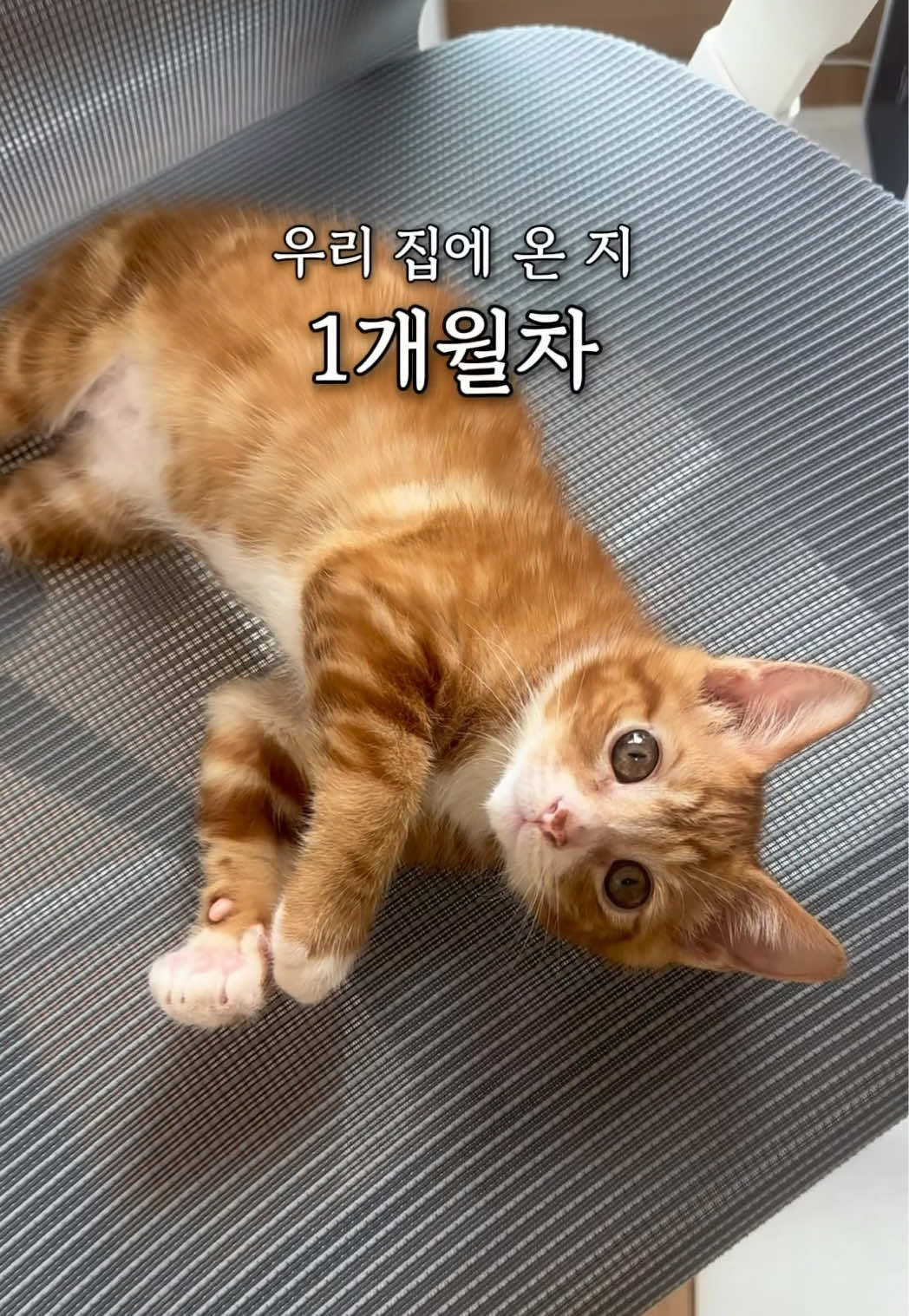 @뮤춘삼