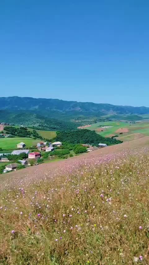 @SaDeCa_15