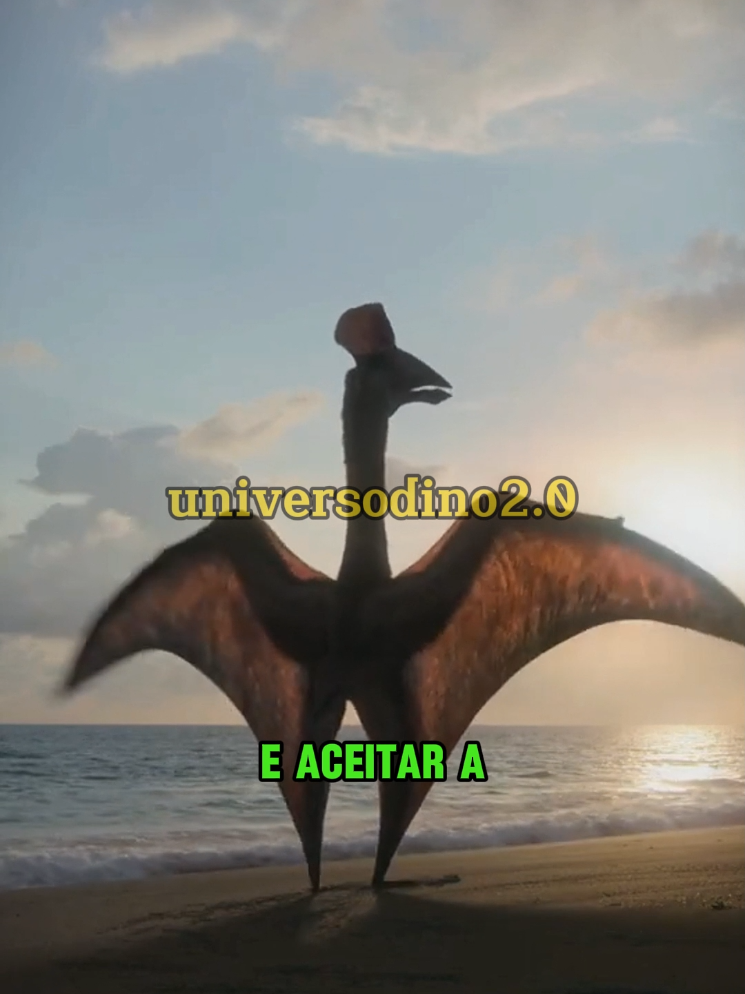 @UNIVERSODINO