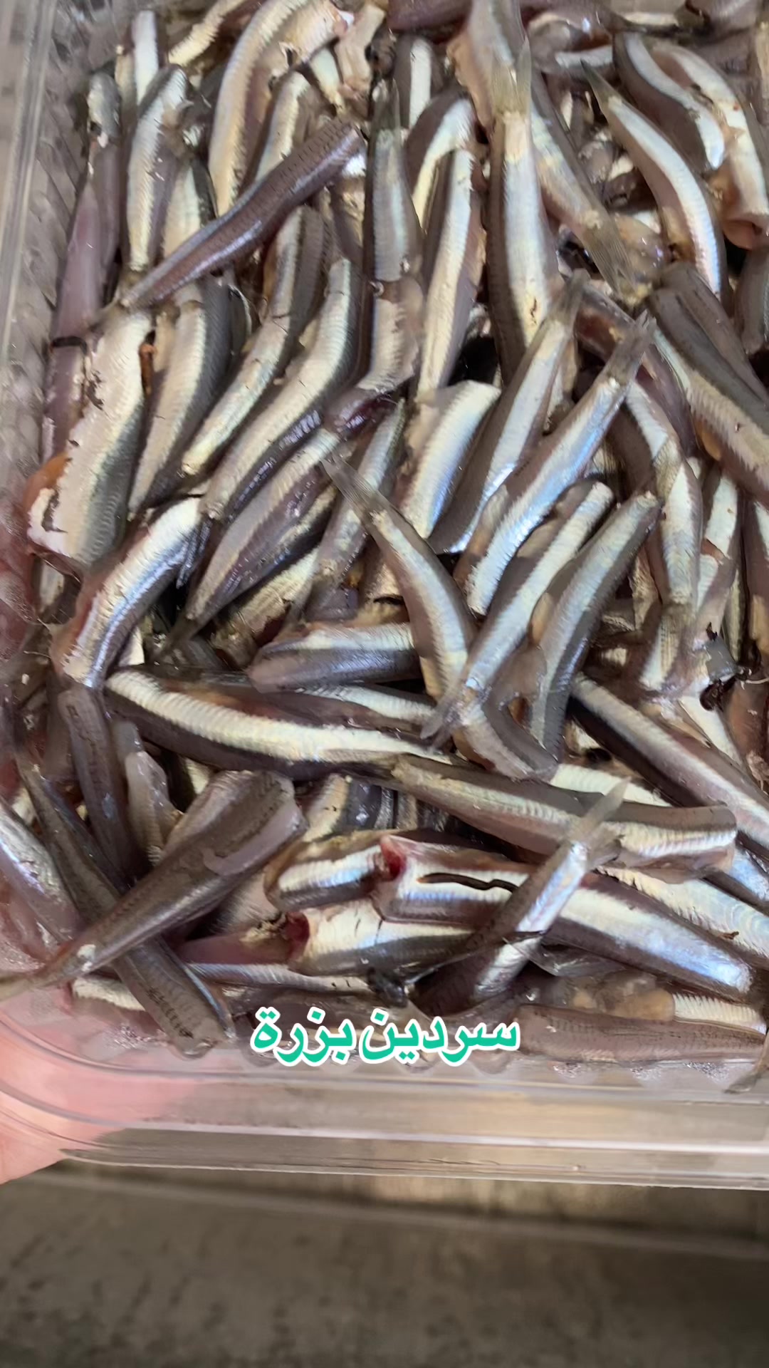 @مطعم ومسمكة الريس الصرفند