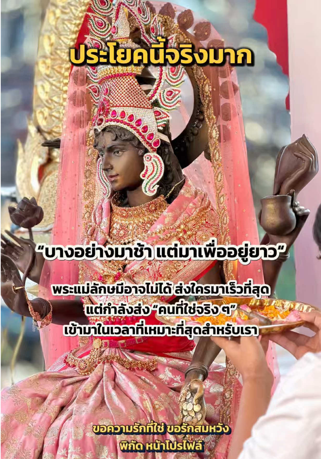 @มามู ออนไลน์ - ฝากไหว้ขอพร