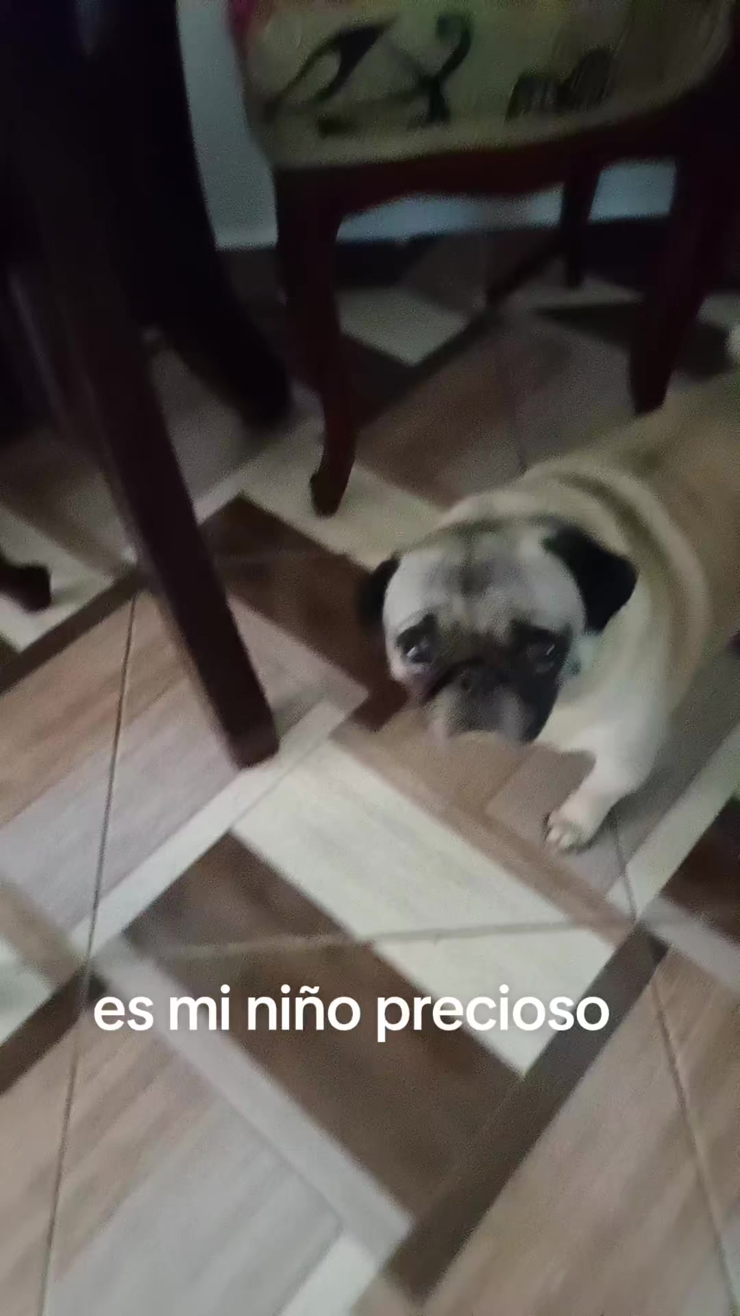 @dulce luna