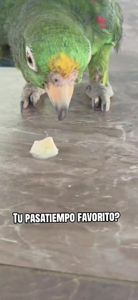 @F4MILY TIM3