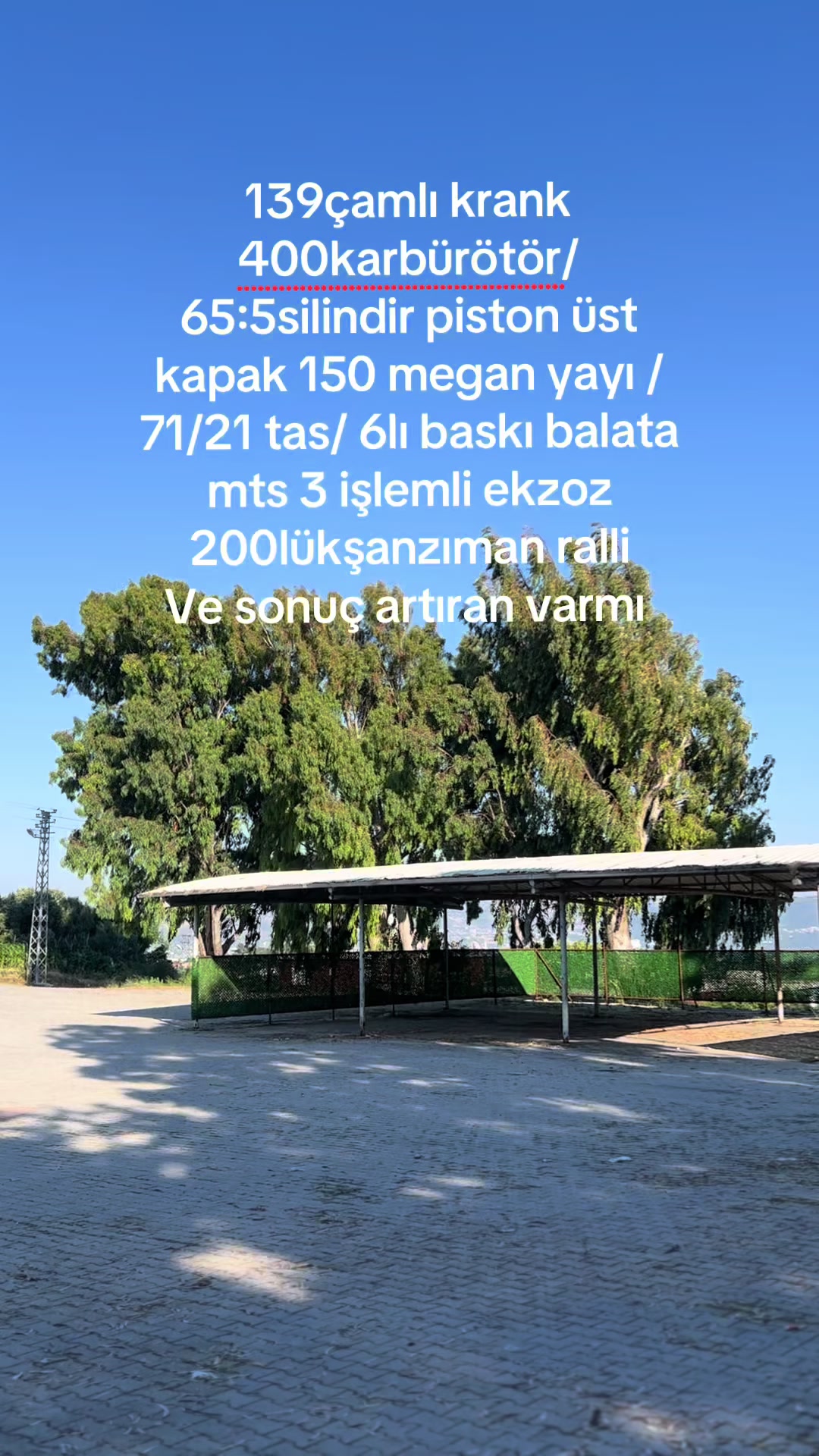 @çılgın Tamirci