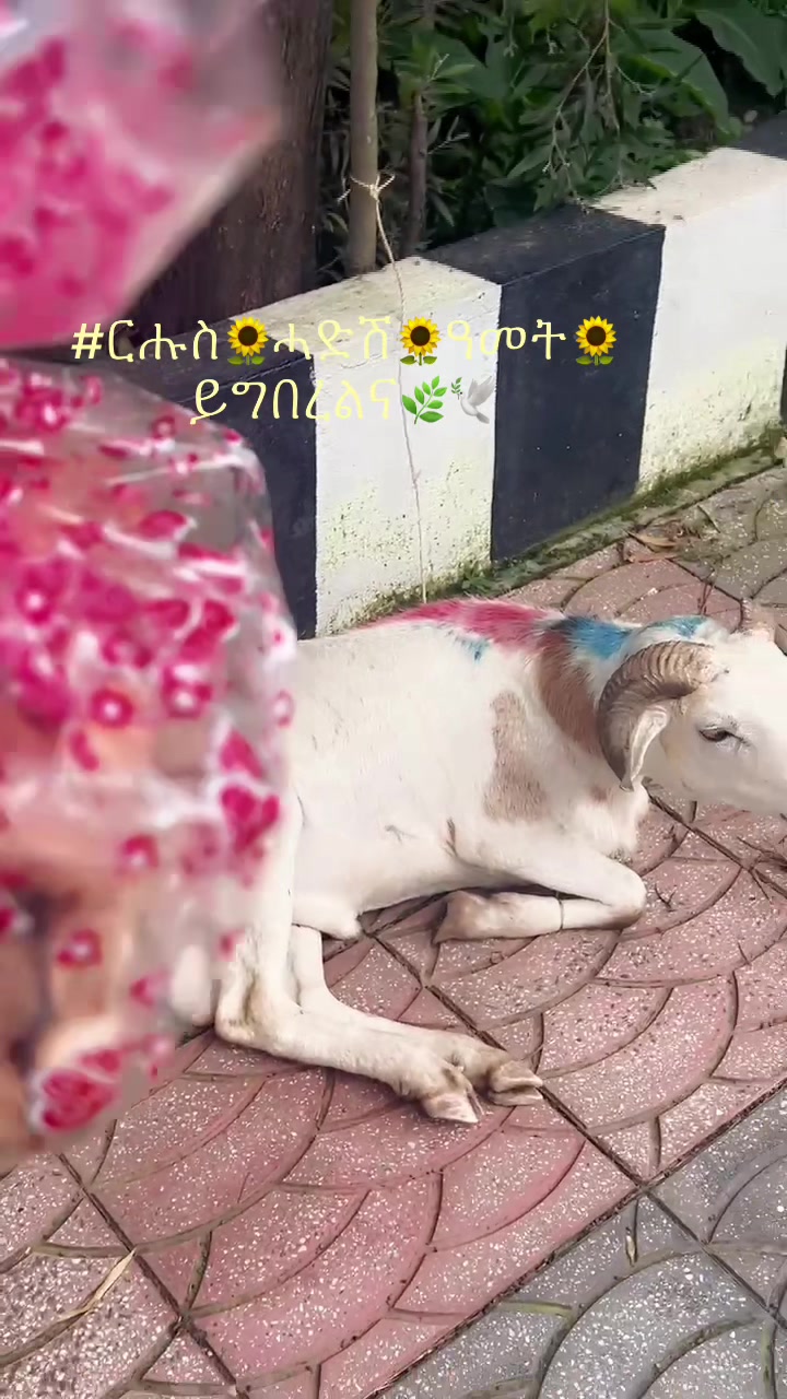 @Azu ๐๐ฝ๐พ๐ป๐ป๐๐๐๐งโ๏ธ