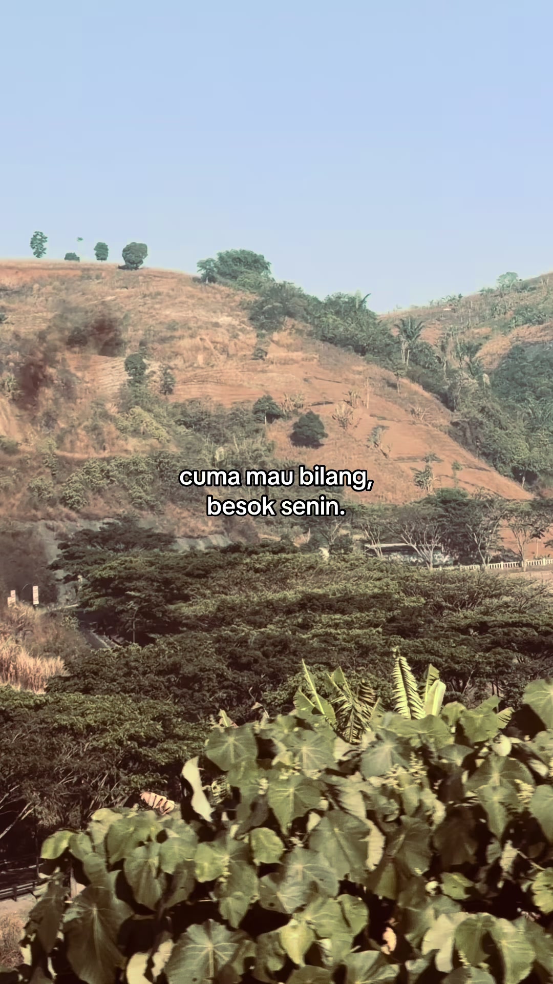 @ㅤ