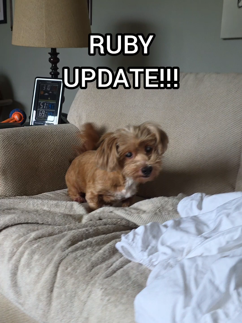 @BuddyandMikes Pal