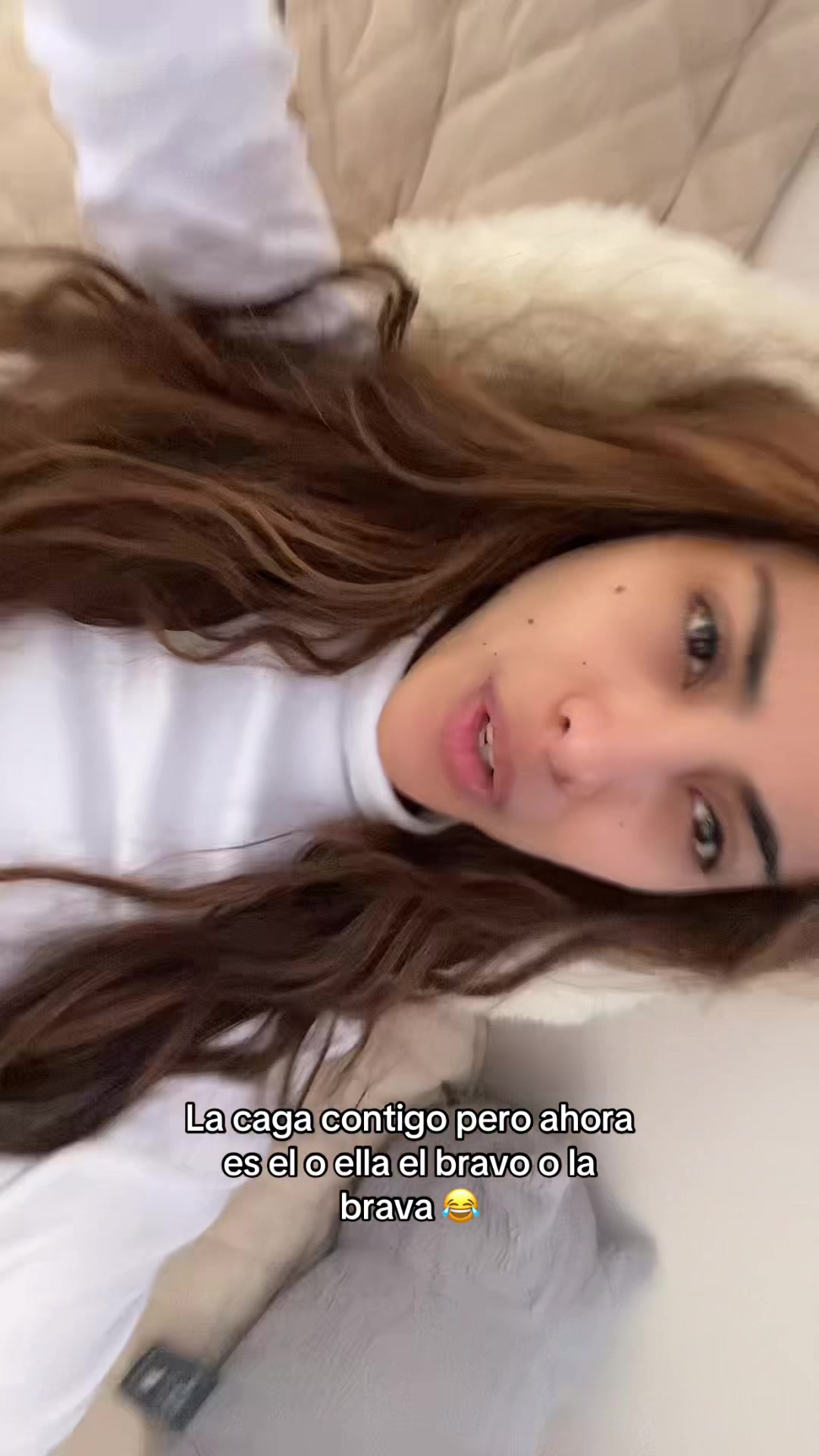 @sofilacuriosaa