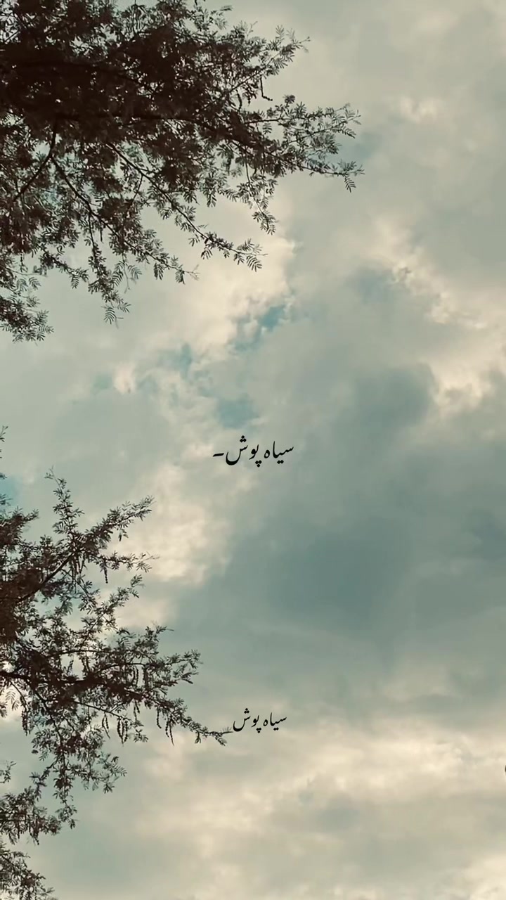 @سیاہ پوش🖤