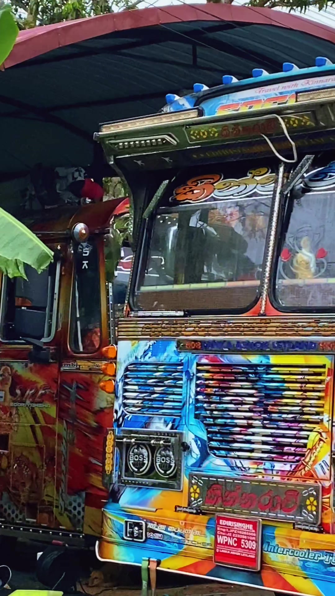 @කඩියා Bus video 🐜