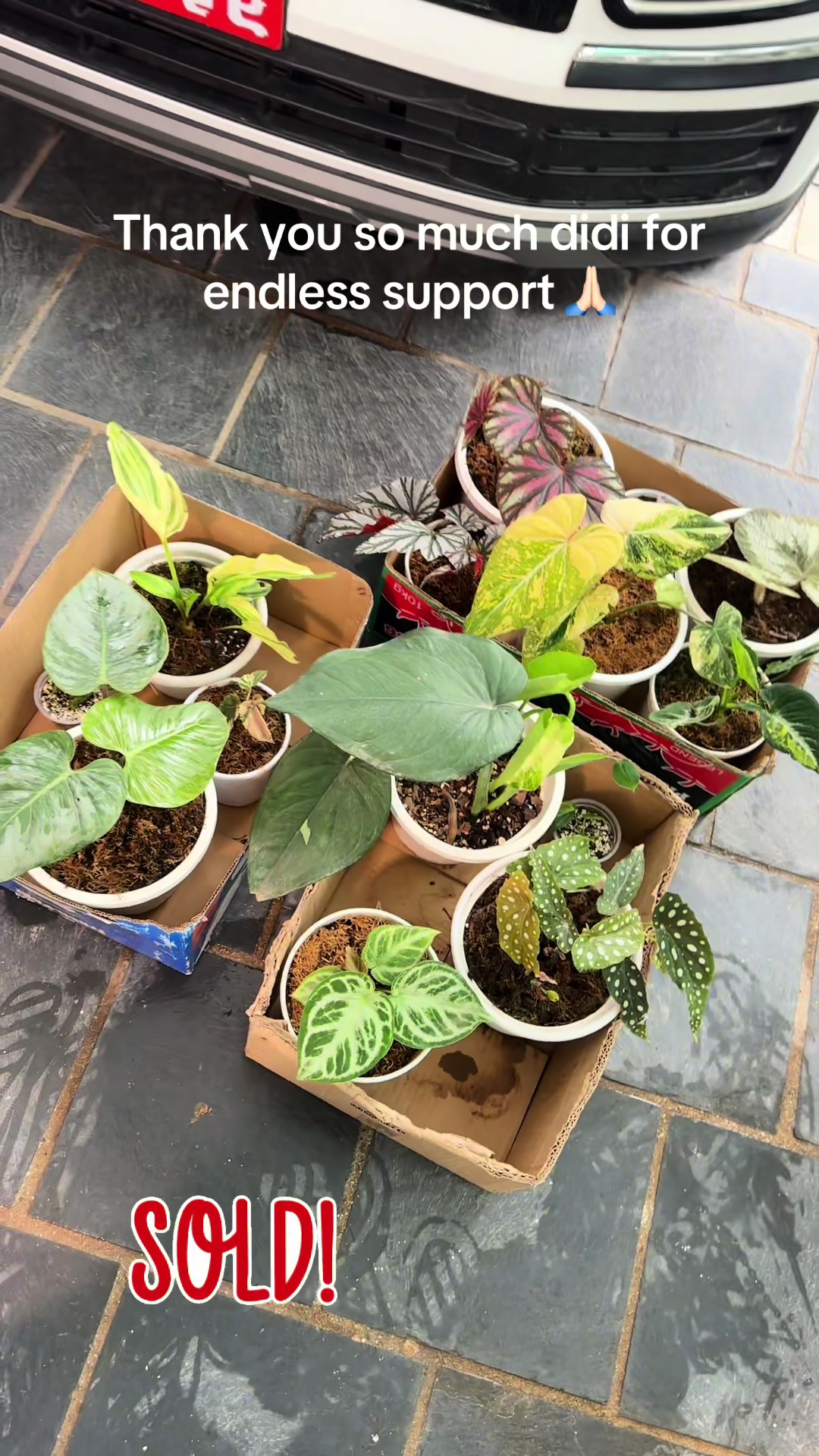 @Plantlife50