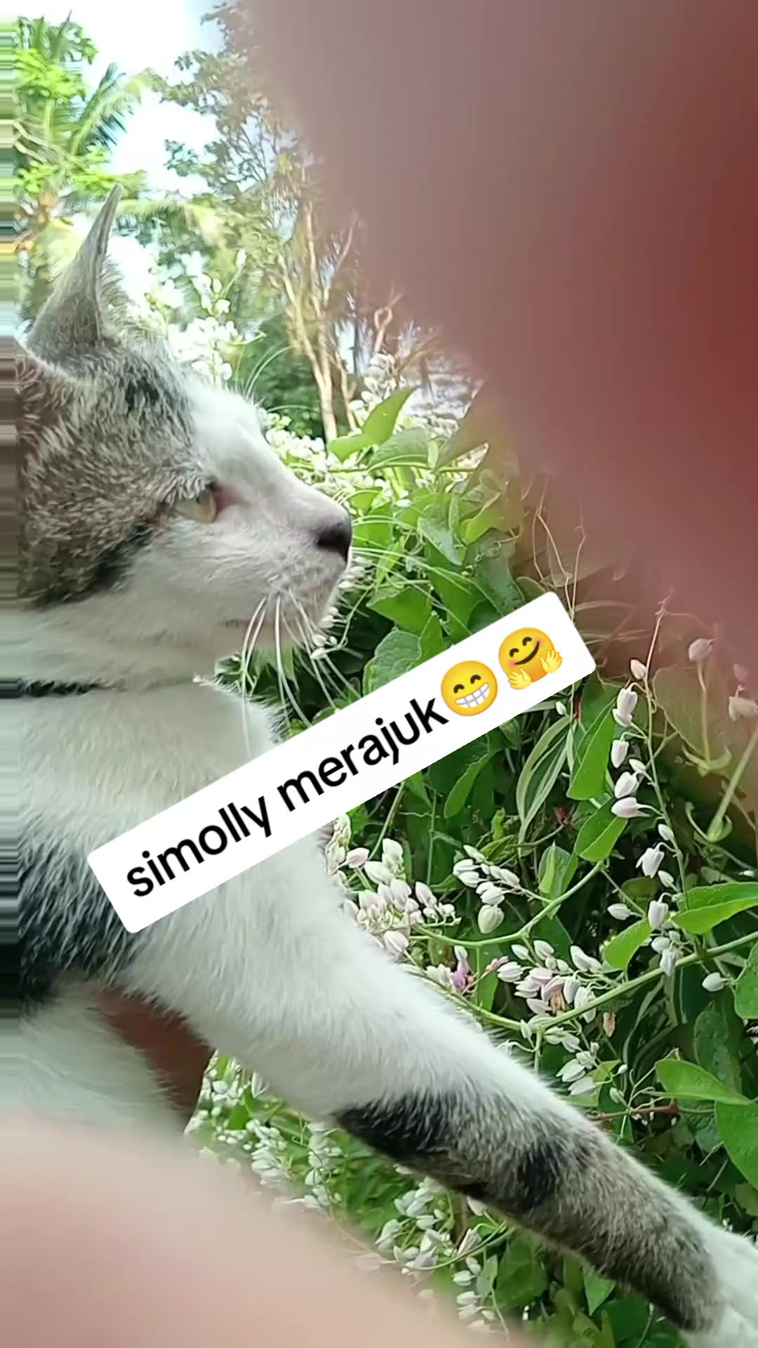 @Rizqi