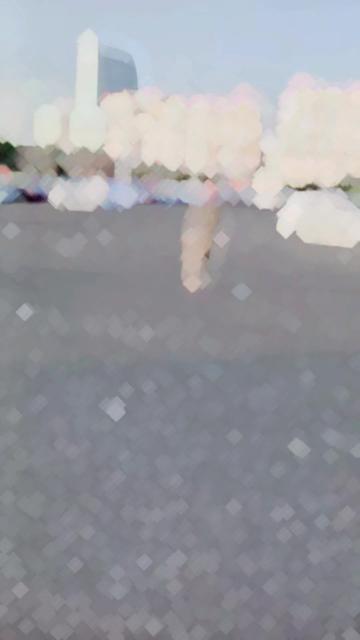 @🇵🇰Zeeshan Abbasi🇵🇰