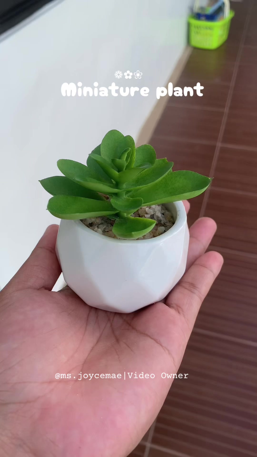 @Joyceᥫ᭡