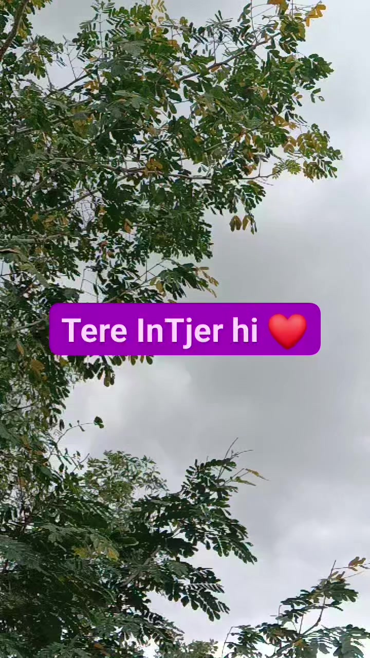 @Hameed Liton 🌿💕