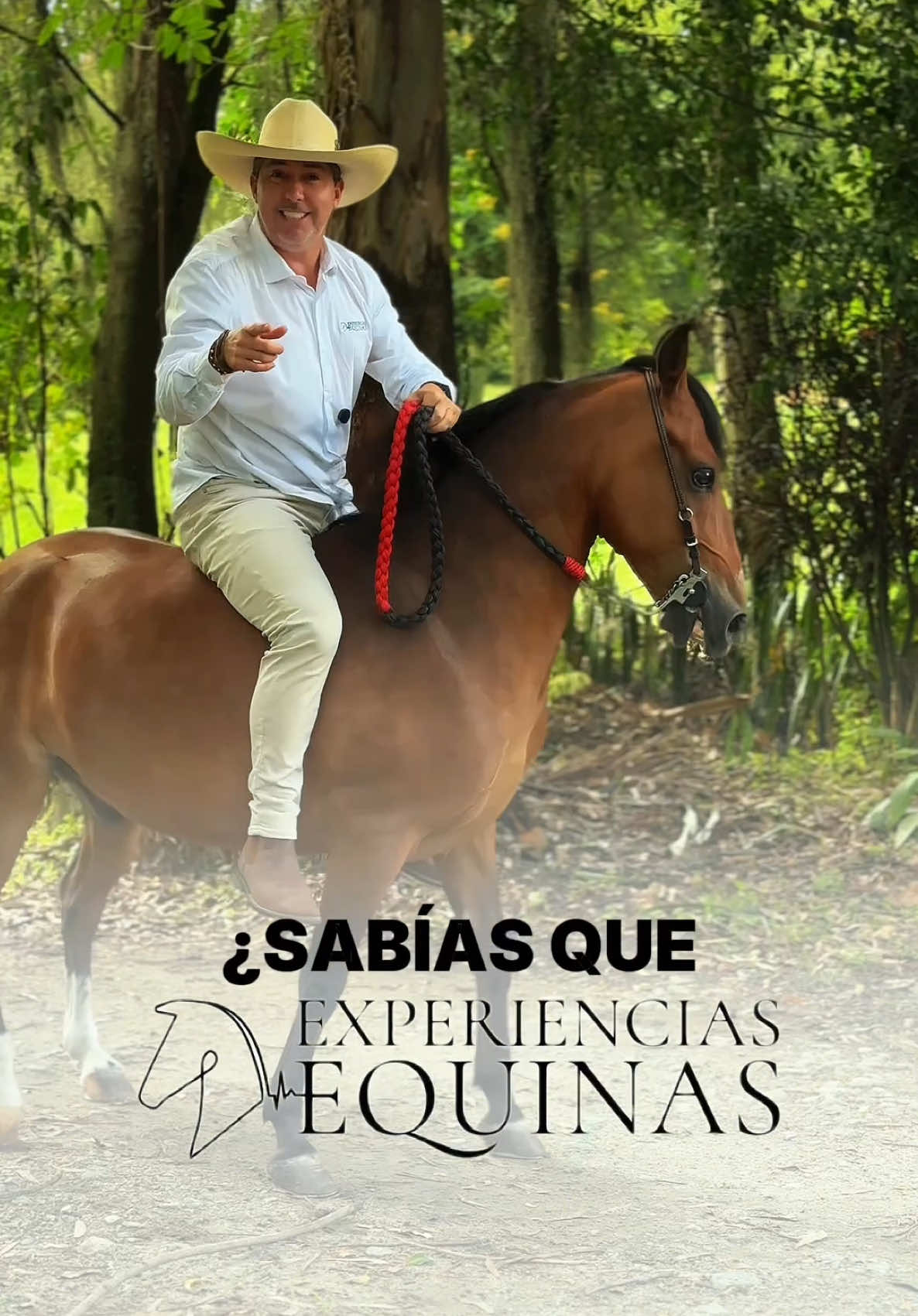 @Experiencias Equinas
