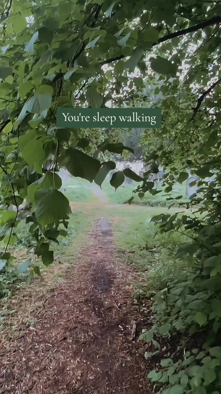 @♱𝓣𝓱𝓮𝓥𝓸𝓲𝓭♱