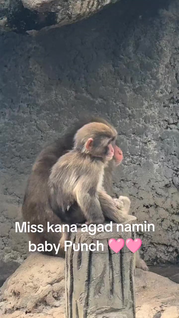 @zikstin16