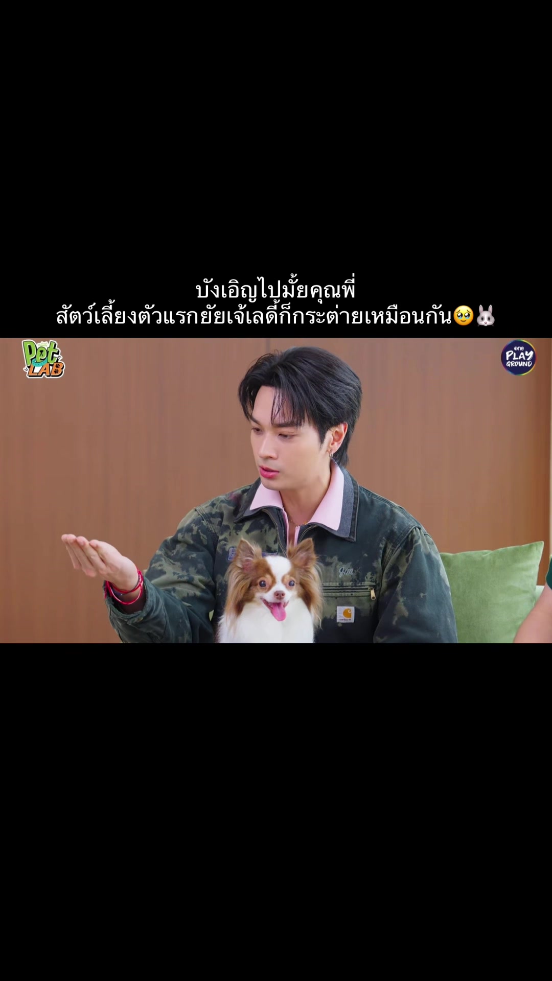 @โอบปรางSupport🐰🦊