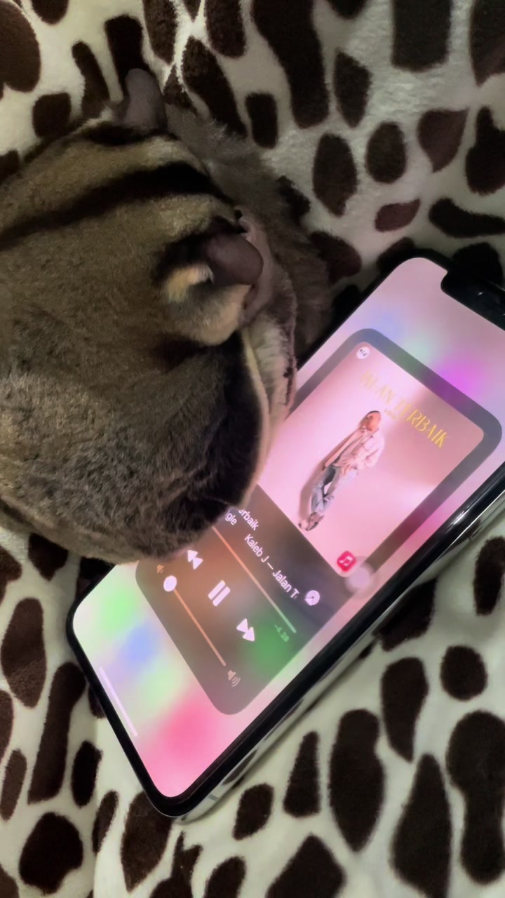 @Sadglider