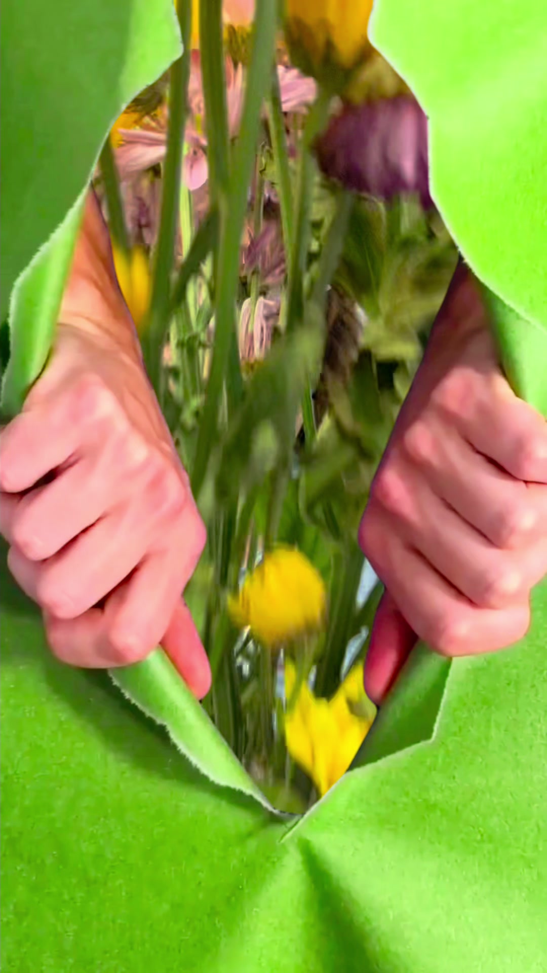 @Sandy / Solveig