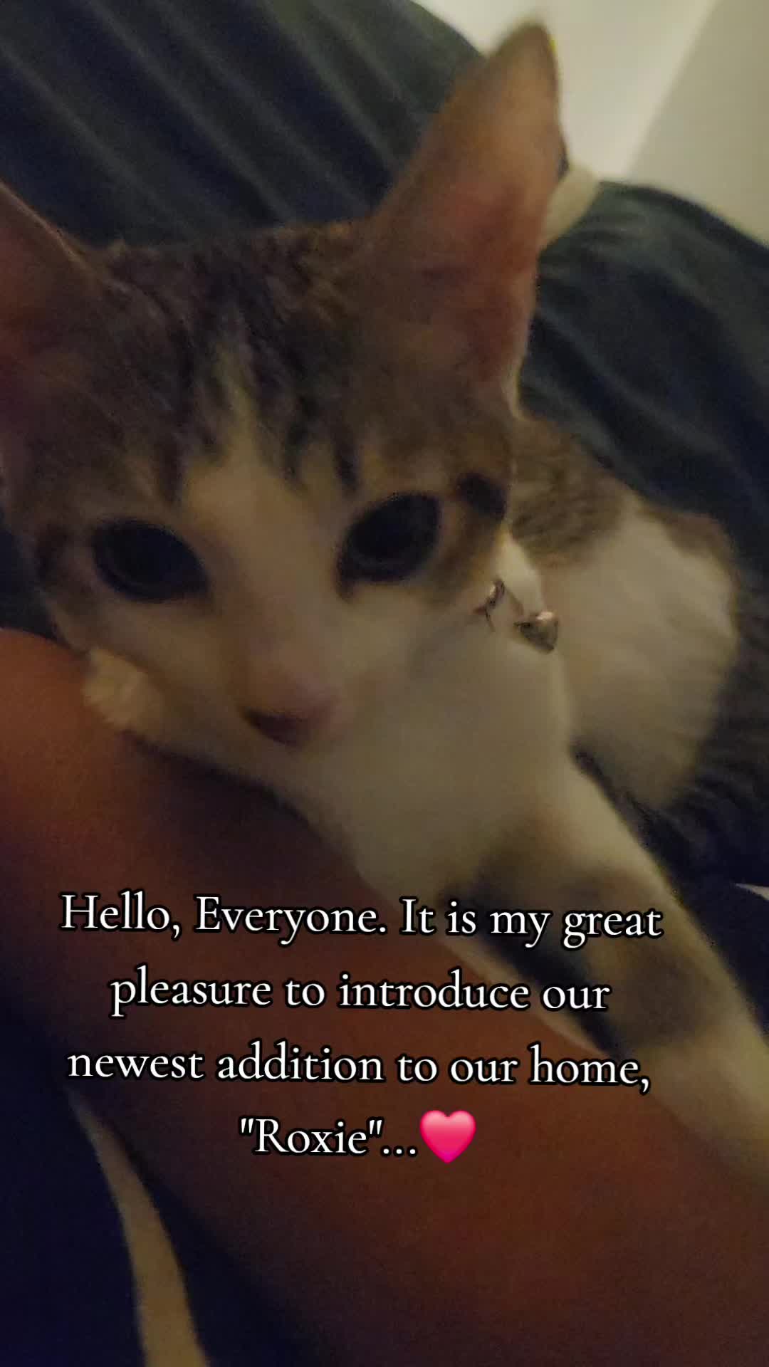 @apachesnoopy112215