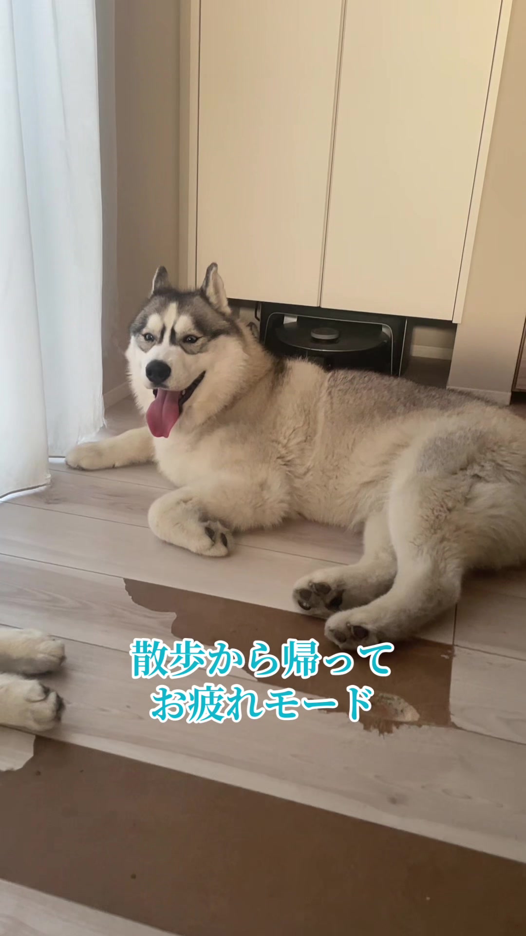 @サン☀️とムーン🌙