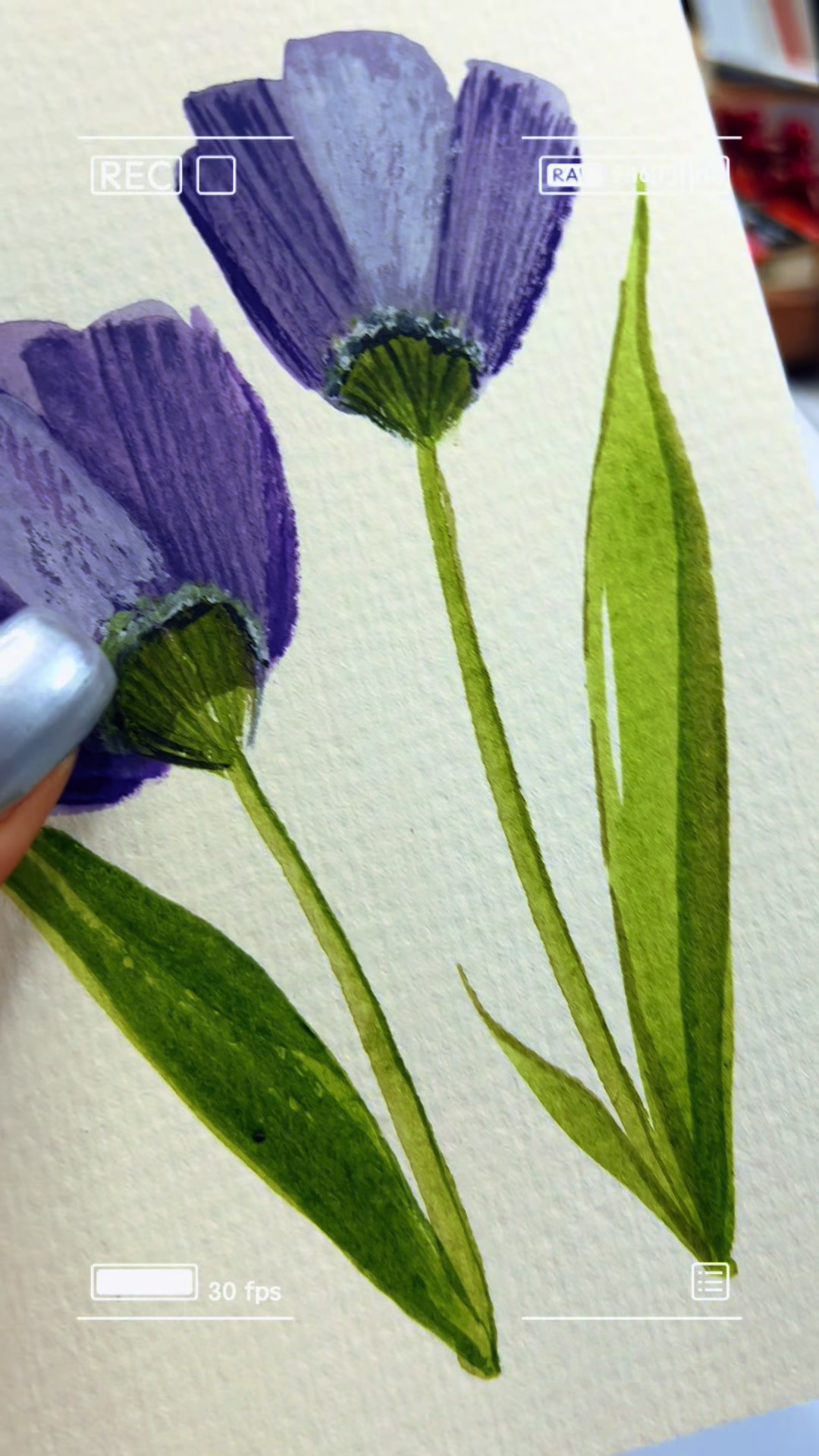 @Juniper Watercolors
