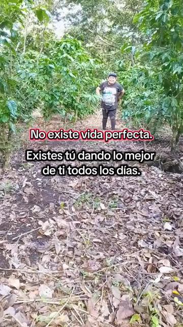 @🍒🇸🇻 David d ledis🍒