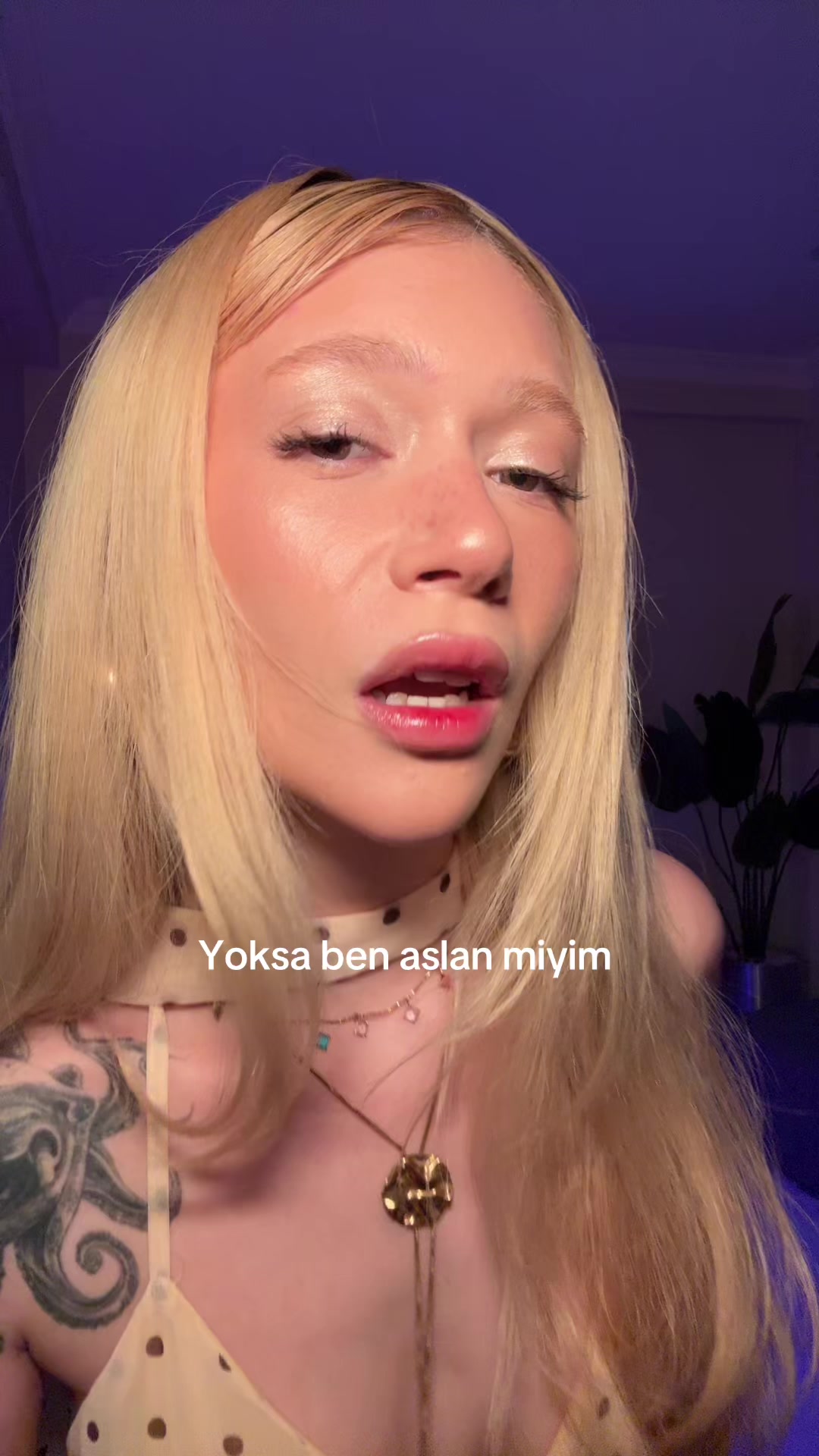 @Ecren damla