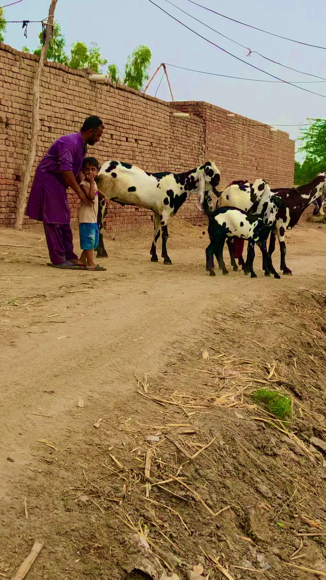 @Imran gujjar1712