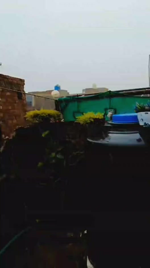 @𝘢ɳᵤ𝚖𝘢𝗅ⲓ𝐤 🎶