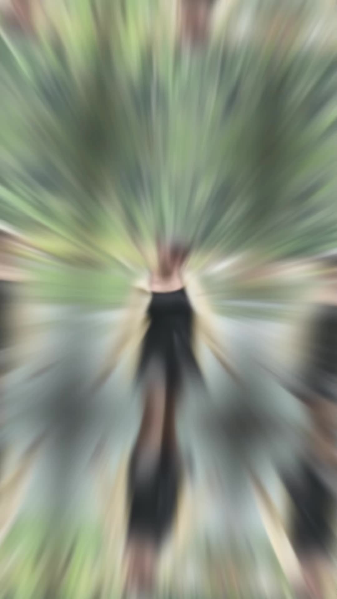 @✂️Thin Tha zin🧵🪡👗