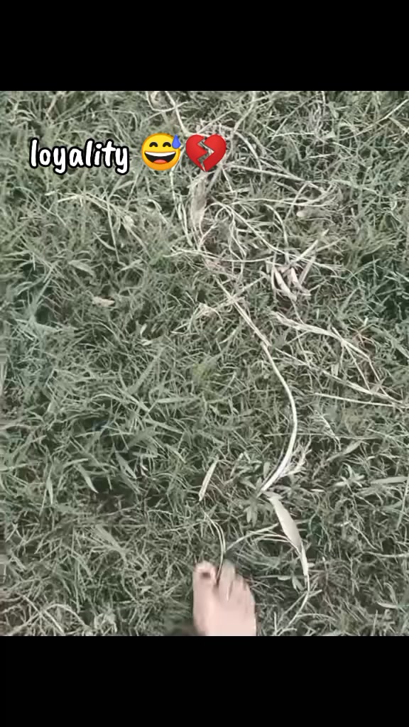 @đĻSˤh˞ízĖękˤaˤđĻ
