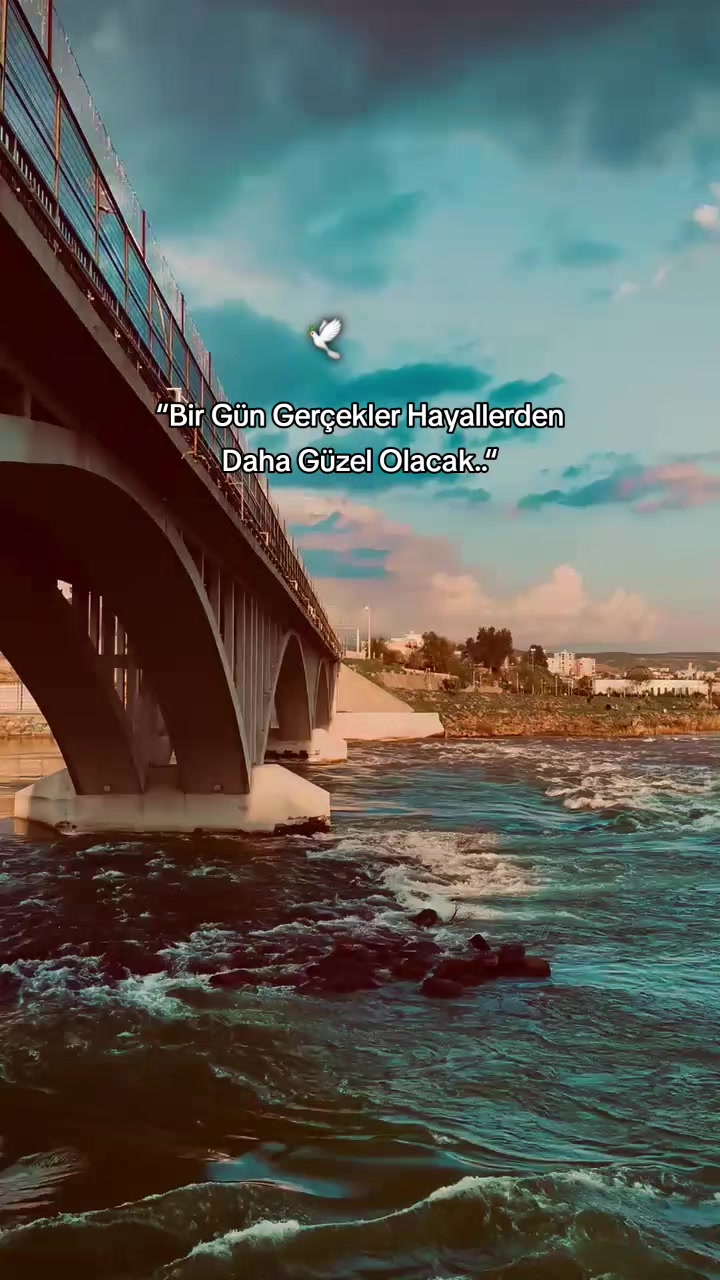 @• s ᴇ ʀ ʜ ᴀ ᴛ •