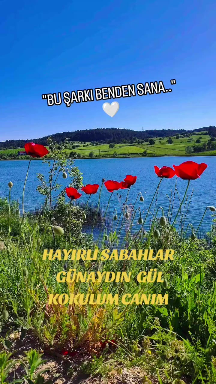 @Hasan Yılmaz