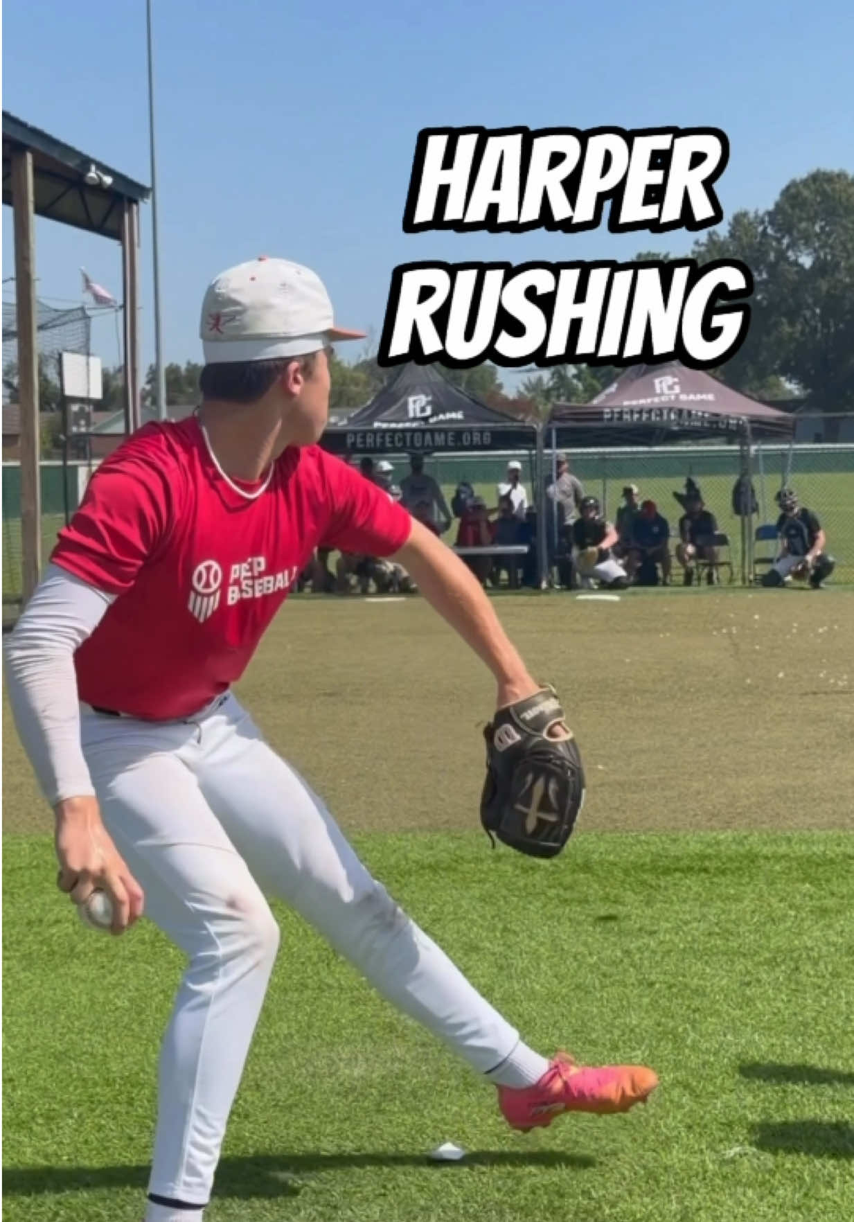 @Tennessee Baseball Network