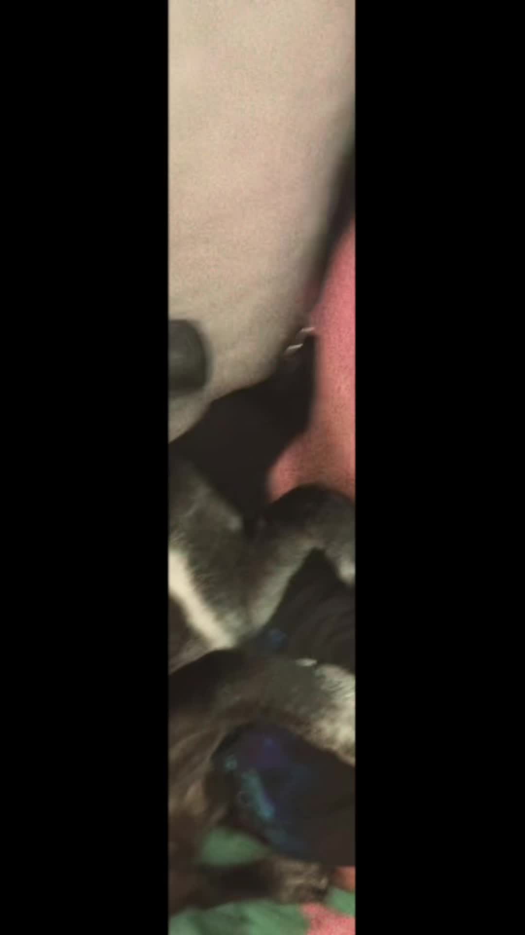 @ShaylaMarie2163