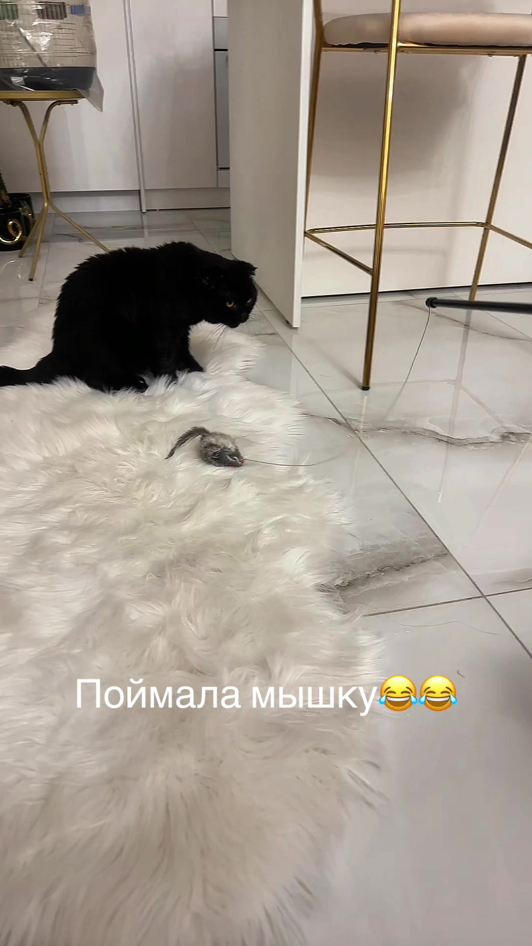 @Лариса Ревтова
