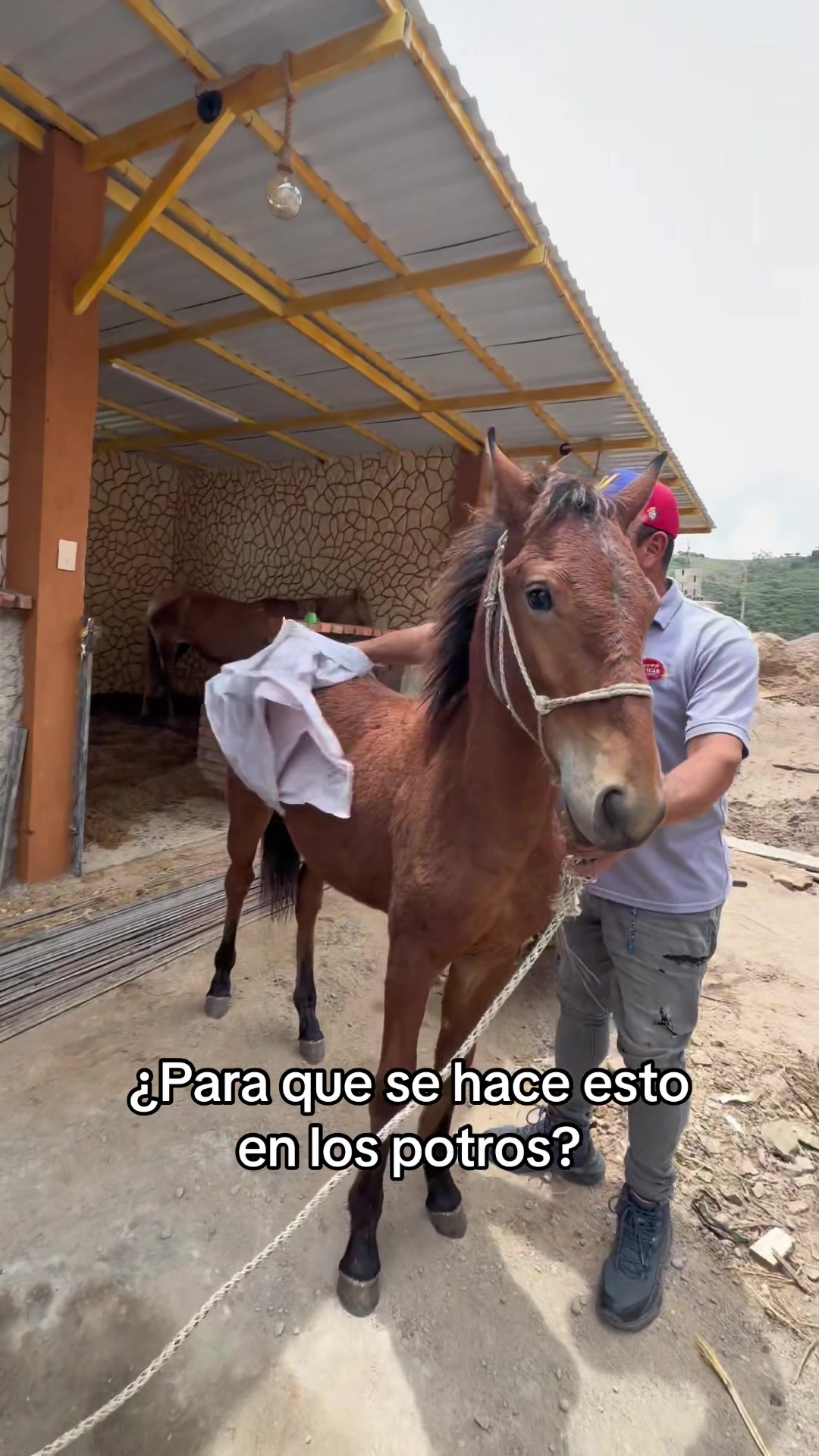 @CHAVAL.TV