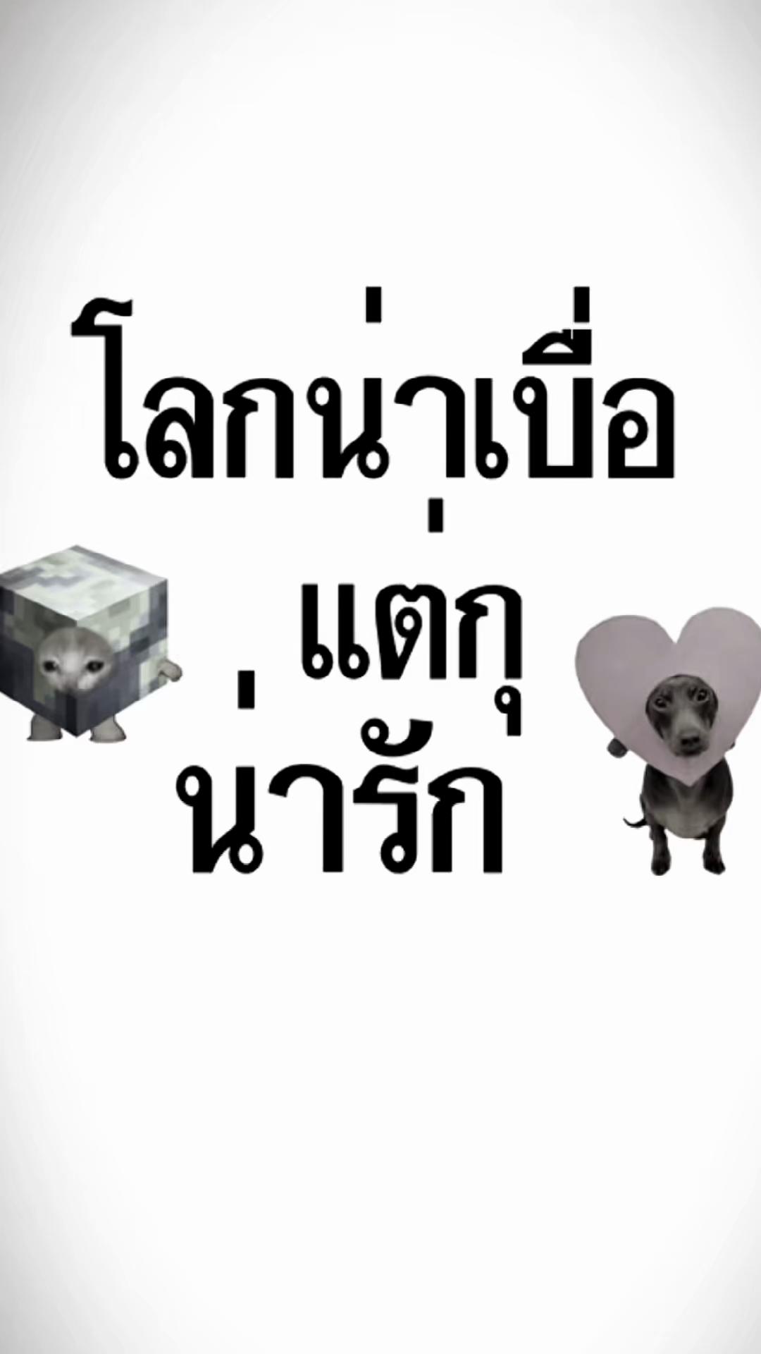@ญ่าเอง‘ง🐽🦊